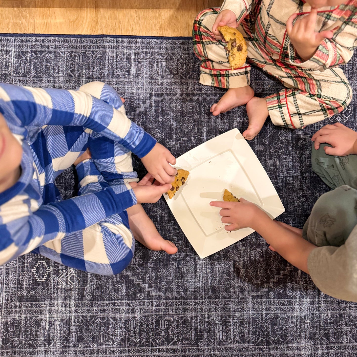 Indigo and Cloud MM-19 Machine Washable Rug